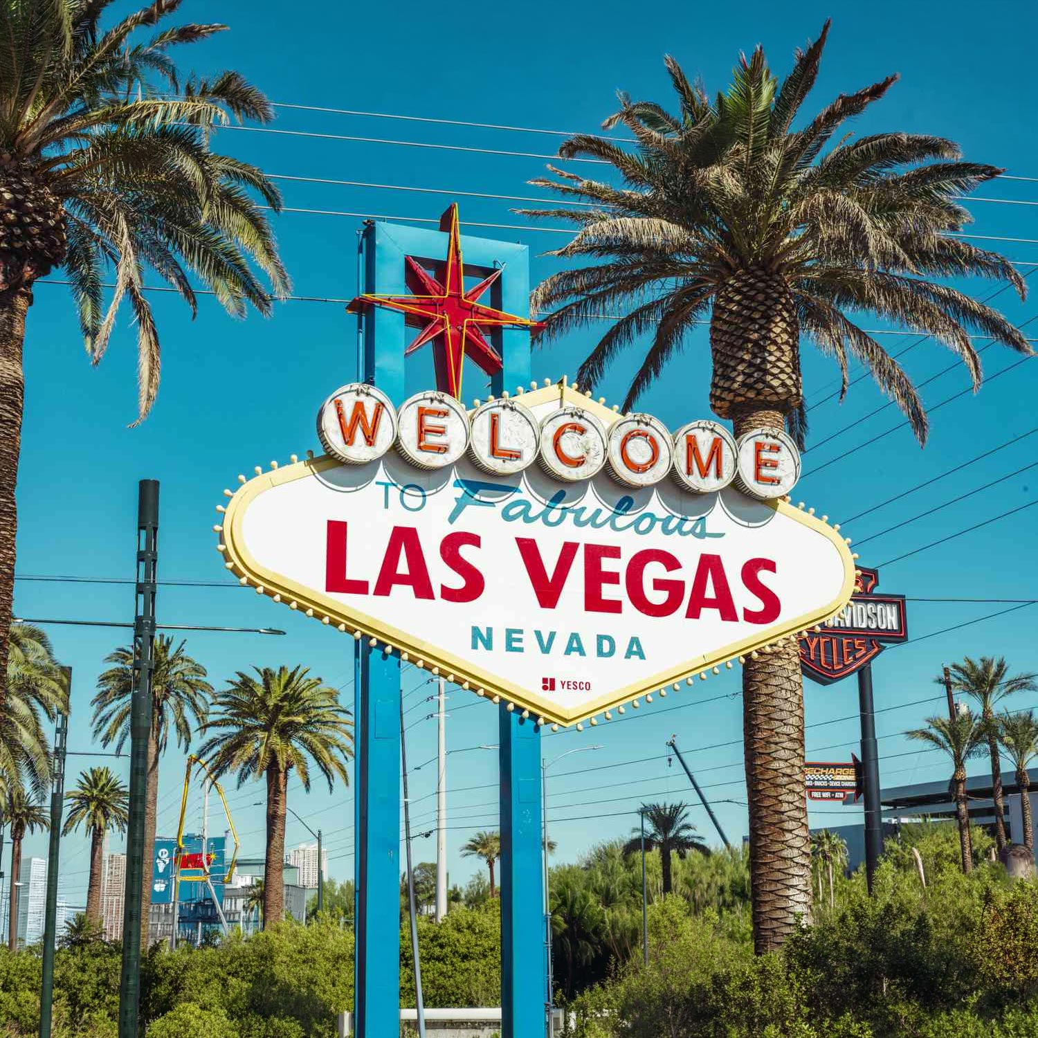 Infographic Featurette Video