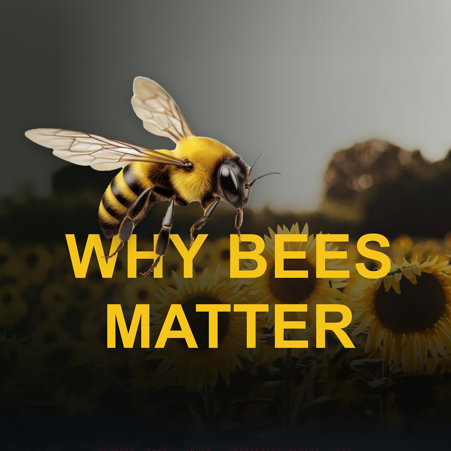 Touchscreen Kiosk App